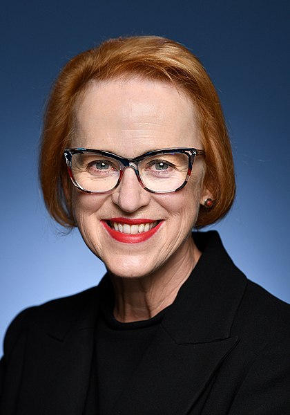 File:Caroline Millar, official portrait as Australian Ambassador to Belgium (2021).jpg