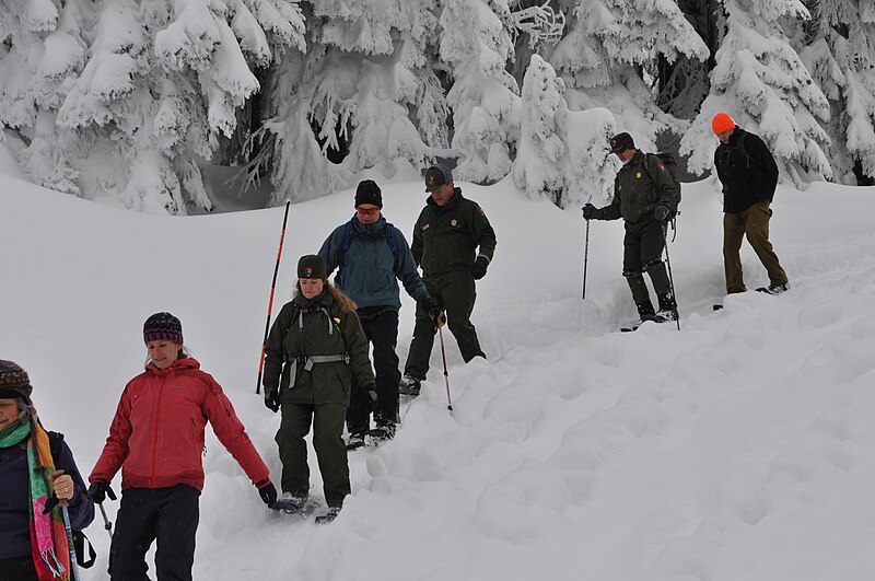 File:Carolyn Driedger, Rebecca Lofgren, Tracy Swartout, Paul Kennard, Randy King, Roger Andrasick, security on snowshoes. Nisqually (436c3e0c32794d4bac8c45b4ce82abb2).JPG