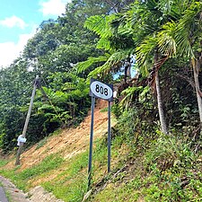 Sign for 808 in Cedro Abajo, Naranjito, looking west