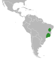 Range of Chaetocalyx blanchetiana
