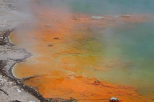 The edge of the champagne pool at Wai-o-tapu, NZ