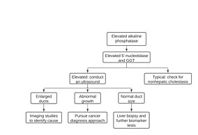 The diagnosis approach for identifying the cause of cholestasis. Cholestasis Diagnosis.jpg