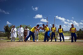 Cia Capoeira João de Barro - Foto João Ramos Bahiatursa (8271678059).jpg