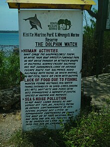 Sign at the Shimoni jetty indicating the standards and protocols in order to prevent harm or disruption to the natural processes and behavior of local marine wildlife. Conservation Sign at the Jetty.JPG