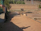 Un diumenge de primaver a la tarda al parc de Can Mercader, a Cornellà de Llobregat.