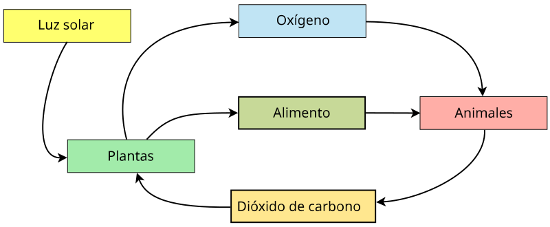 File:Diagrama básico de un ecosistema.svg