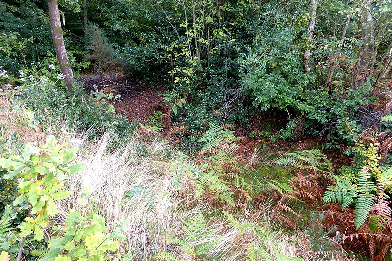 File:Ditch of a linear earthwork on Keston Common.jpg