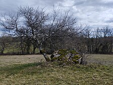 Dolmen de la Pierre Levée