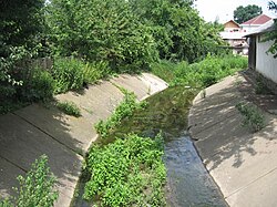 Dragomirna River.jpg