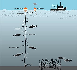 <span class="mw-page-title-main">Dropline</span> Commercial fishing device