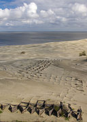 Dunas en el parque