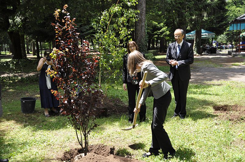 File:Eesti suursaadik Montenegros Tiina Intelmann istutas Montenegro presidendi aeda puu (5852229322).jpg