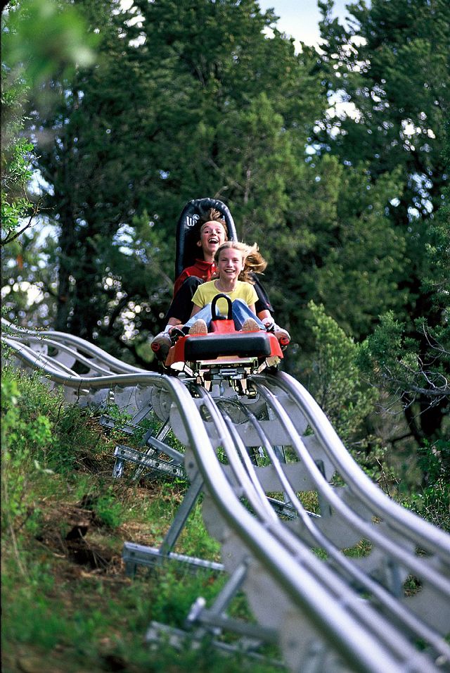 Summer toboggan Wikiwand