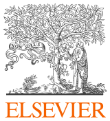 Elsevier