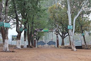 Betla National Park National park in Jharkhand, India