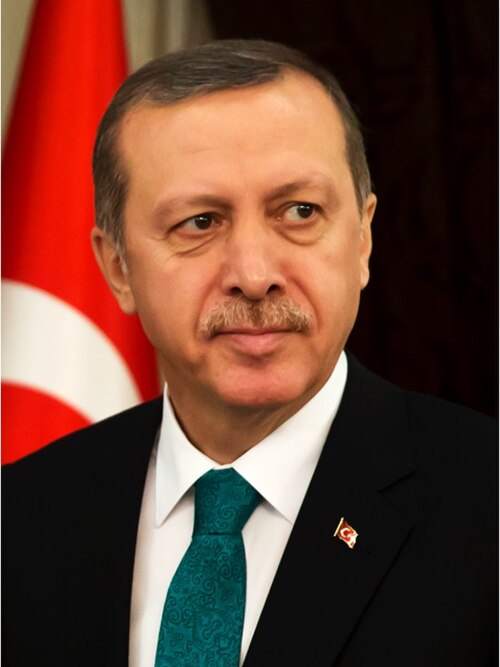 Image: Erdogan 2014