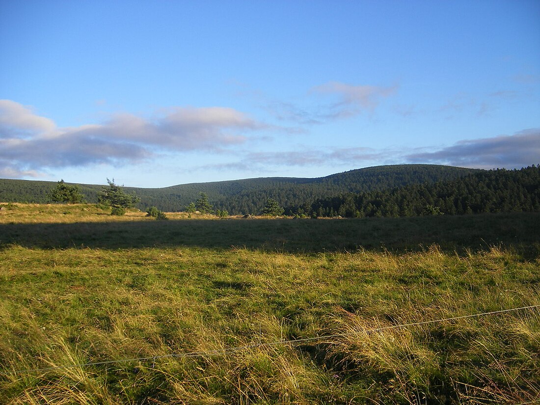 Mont Mouchet