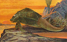 Outdated reconstruction by F. John depicting Pterichthyodes (here referred to as "Pterichthys") as terrestrial F John Series 1 Pterichthys card 30.jpg