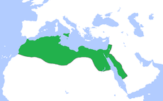 Территория Фатимидского халифата (969 г.)