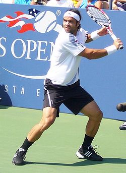 Fernando Gonzalez - 2009 US Open.jpg