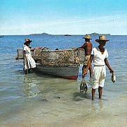 Pescatore Seychelles.jpg