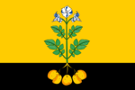 Flag of Falyonki (Kirov oblast).png