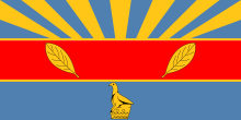 Flag of Harare.svg