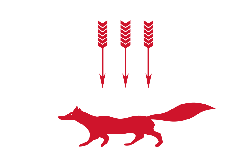 File:Flag of Saransk.svg