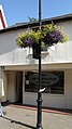 Flowers on a lamppost in Thoroughfare - geograph.org.uk - 2149079.jpg