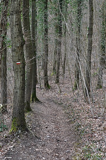 Sentier de grande randonnée 57 (Belgique et Luxembourg)