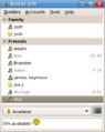 English: Gaim 2.0.0 beta 6 buddy list on GNU+Linux