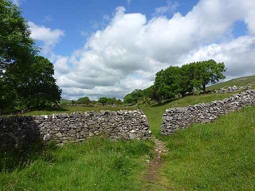 Gap-stile in wall above Hubberholme Wood - geograph.org.uk - 4058224