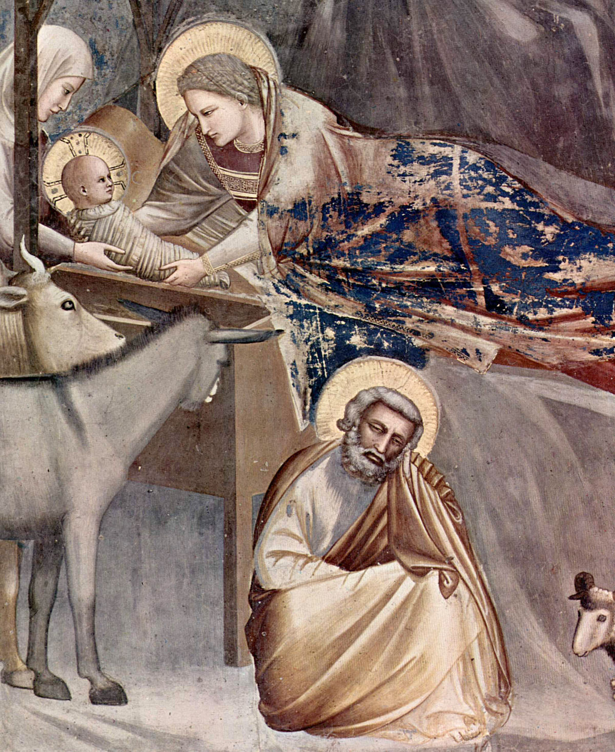 File Giotto Di Bondone 010 Wikimedia Commons