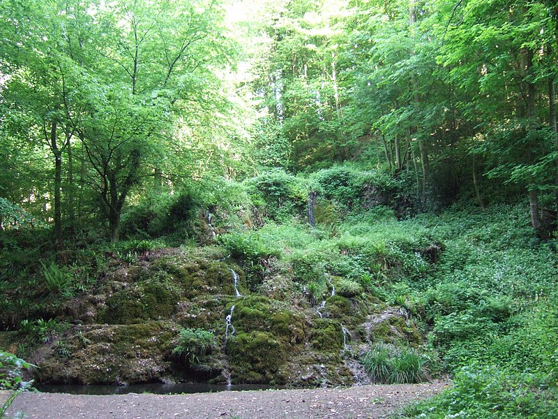 File:Hack Fall Wood geograph-2415382-by-C-P-Smith.jpg