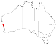 Hakea polyanthemaDistMap110.png