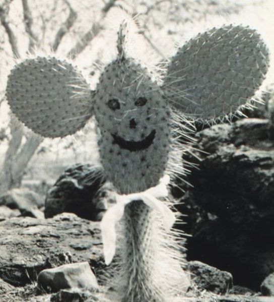 File:Happy Cactus2.jpg