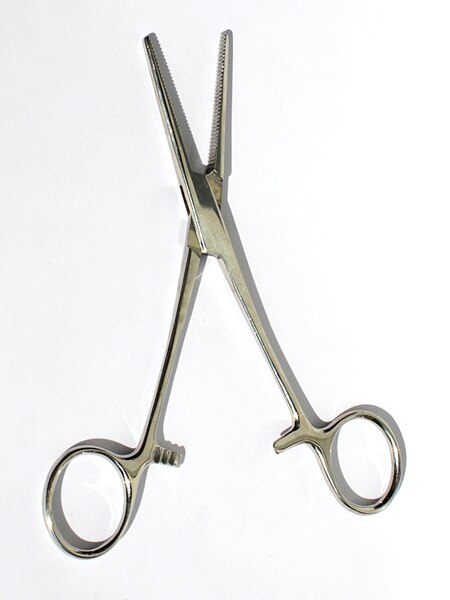 File:Hemostatic forceps 01.jpg