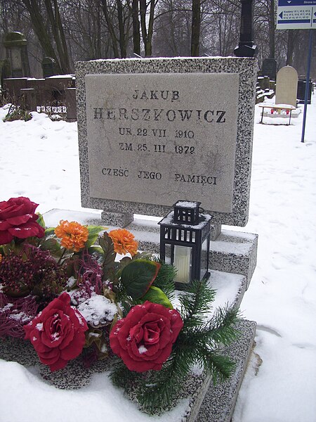 File:Herszkowicz Jankiel grave.jpg