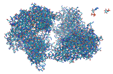 Tập_tin:Hexokinase_ball_and_stick_model,_with_substrates_to_scale_copy.png