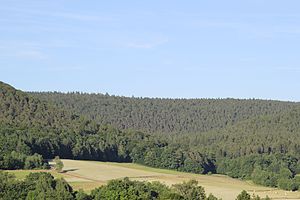 Hoher Querberg (in the background, left of the center of the picture) and human head (in the background, right of the center of the picture)