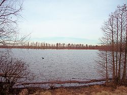 Hovey Lake.jpg