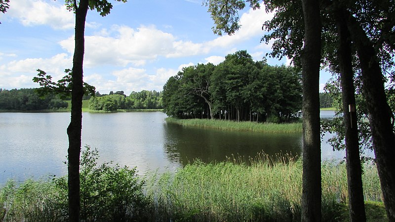 File:Ilzu Garais lake, Viesīte municipality, Latvia.jpg