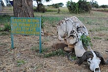 Entrance to Tarangire National Park Image of the entrance to Tarangire National Park.jpg