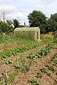 Pont-Croix : jardin partagé (jardins familiaux du Goyen) 5.