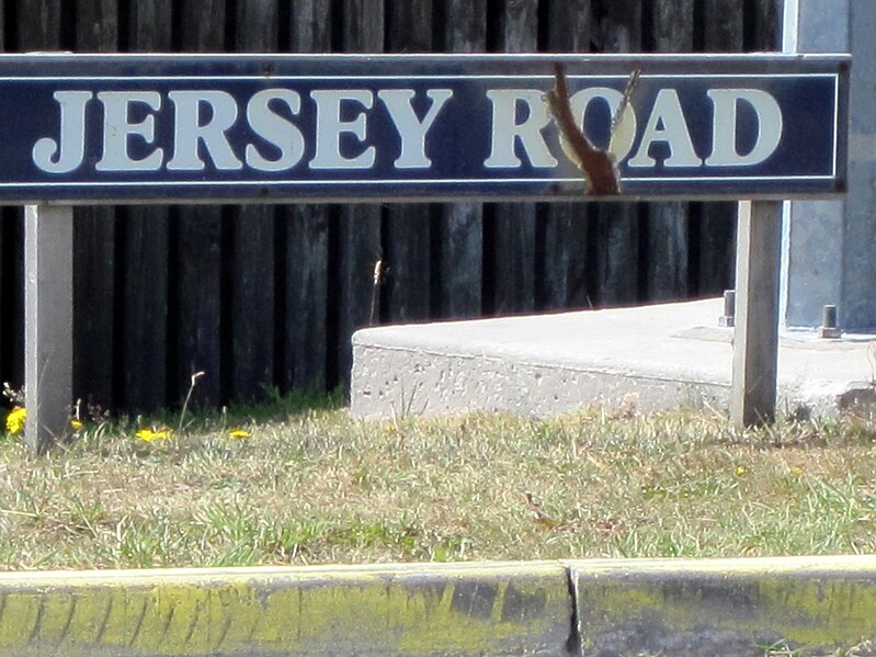 File:JerseyRoadStanley.JPG