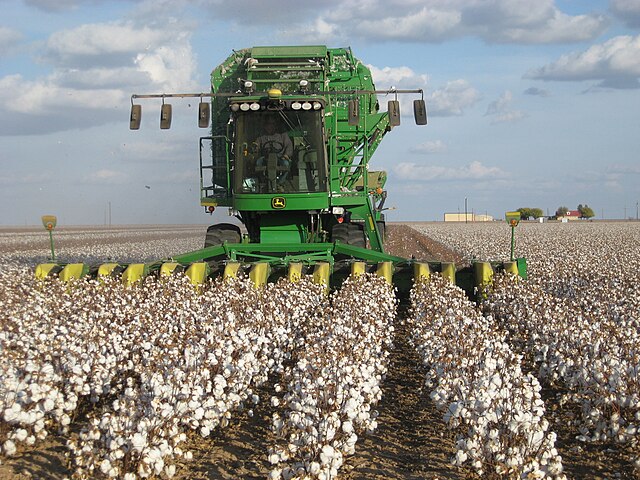 A John Deere cotton harvester at work in a cotton field