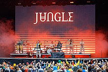 Jungle Piknik i Parken 2022 184649.jpg