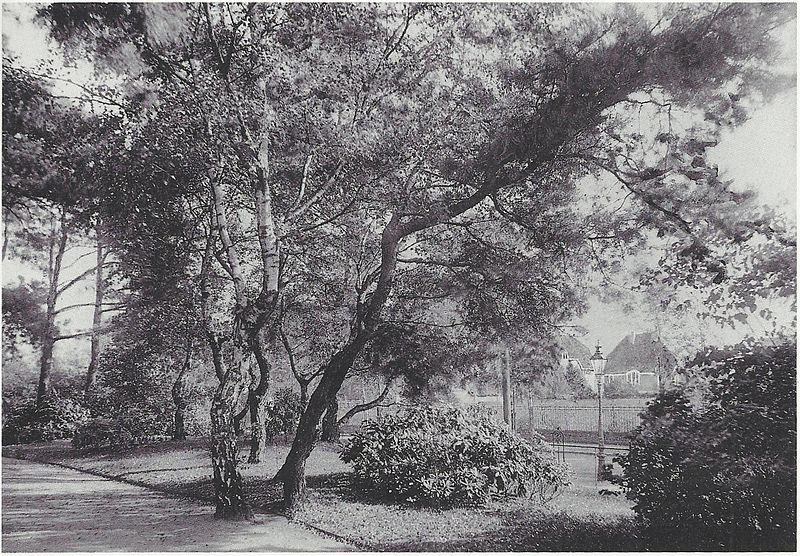 File:Köln Südpark 1910.jpg