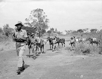 Великобритански войници ескортират провизии нащрек за бойци на Мау Мау.
