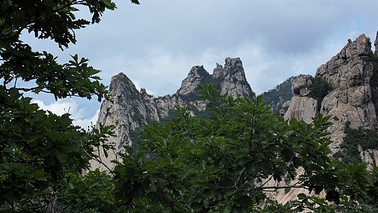 한국어: 큰새봉